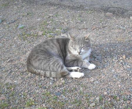 Nouvelle disparition  !!!